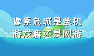 像素危城是单机游戏嘛还是网游