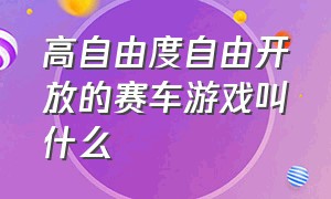 高自由度自由开放的赛车游戏叫什么