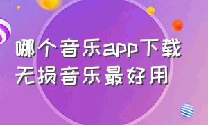 哪个音乐app下载无损音乐最好用（哪个音乐app是最好的）