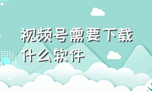 视频号需要下载什么软件