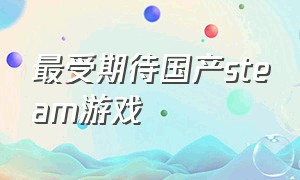 最受期待国产steam游戏（好评如潮的steam国产游戏）