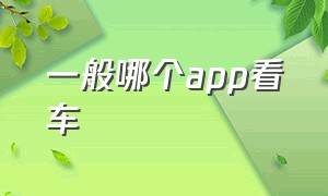 一般哪个app看车