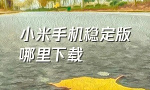 小米手机稳定版哪里下载