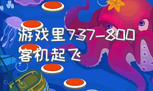 游戏里737-800客机起飞（航班737游戏中的737如何起飞）