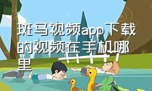 斑马视频app下载的视频在手机哪里