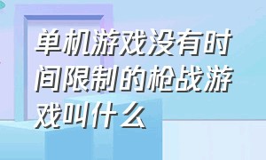 单机游戏没有时间限制的枪战游戏叫什么