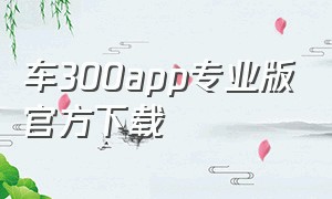 车300app专业版官方下载