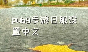 pubg手游日服设置中文（pubg手游怎么把语言设置为中文）