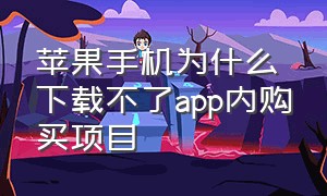 苹果手机为什么下载不了app内购买项目