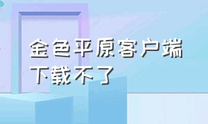 金色平原客户端下载不了