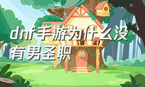 dnf手游为什么没有男圣职