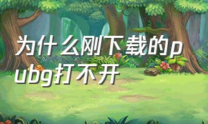 为什么刚下载的pubg打不开