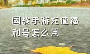 国战手游充值福利号怎么用（国战手游兑换码12个礼包最新）