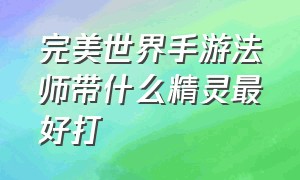 完美世界手游法师带什么精灵最好打（完美世界手游法师精灵加点怎么选）