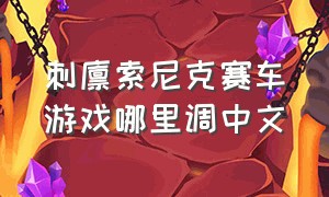 刺猬索尼克赛车游戏哪里调中文