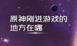 原神刚进游戏的地方在哪