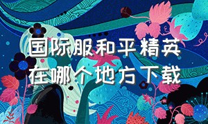 国际服和平精英在哪个地方下载