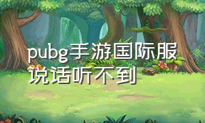 pubg手游国际服说话听不到