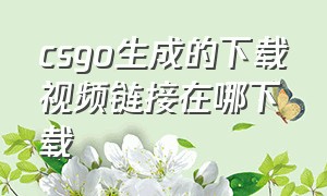 csgo生成的下载视频链接在哪下载