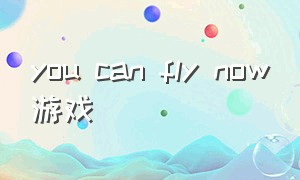 you can fly now游戏