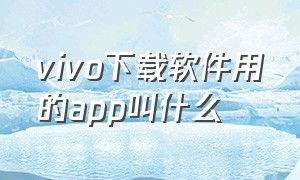 vivo下载软件用的app叫什么