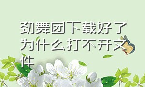 劲舞团下载好了为什么打不开文件