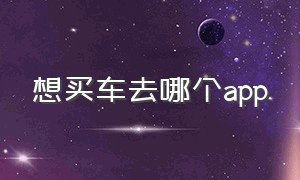 想买车去哪个APP