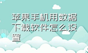 苹果手机用数据下载软件怎么设置（苹果手机用数据下载软件怎么设置权限）