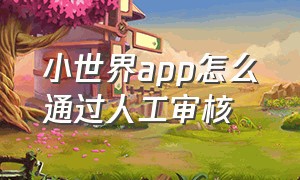 小世界app怎么通过人工审核