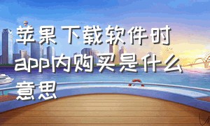 苹果下载软件时app内购买是什么意思（iphone软件商店写app购买是啥意思）