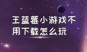 王蓝莓小游戏不用下载怎么玩（王蓝莓的小卖部小游戏免费玩入口）