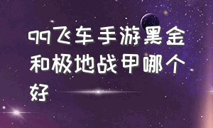 qq飞车手游黑金和极地战甲哪个好