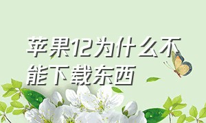 苹果12为什么不能下载东西