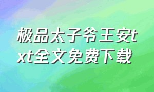 极品太子爷王安txt全文免费下载