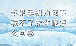 苹果手机为何下载不了软件呢怎么回事（苹果手机为啥下载不了正常的软件）