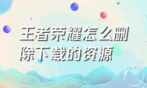 王者荣耀怎么删除下载的资源