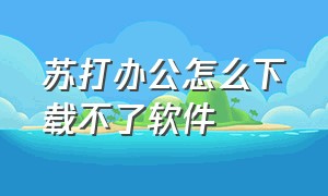 苏打办公怎么下载不了软件