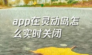 app在灵动岛怎么实时关闭