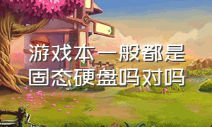 游戏本一般都是固态硬盘吗对吗