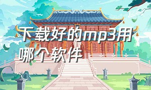 下载好的mp3用哪个软件