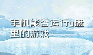 手机能否运行u盘里的游戏（手机能否运行u盘里的游戏视频）