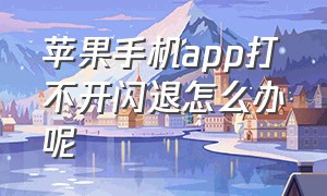 苹果手机app打不开闪退怎么办呢