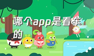 哪个app是看车的（哪个app看视频挣钱最多）