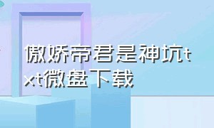 傲娇帝君是神坑txt微盘下载（陛下他总是假正经txt百度网盘）