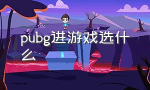 pubg进游戏选什么（pubg游戏）