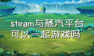 steam与蒸汽平台可以一起游戏吗（steam和蒸汽平台游戏要下载两次吗）