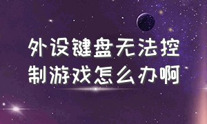 外设键盘无法控制游戏怎么办啊