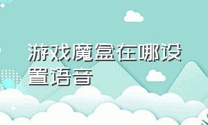 游戏魔盒在哪设置语音（游戏魔盒怎么设置双击打开）