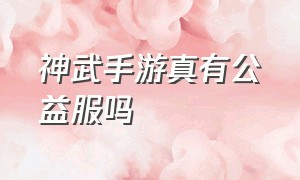 神武手游真有公益服吗