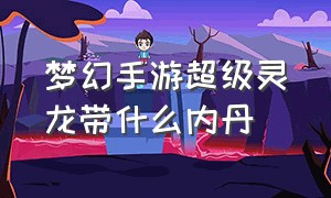 梦幻手游超级灵龙带什么内丹